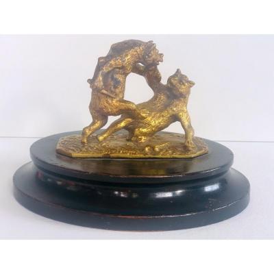 Bear Fight. Christophe Fratin.